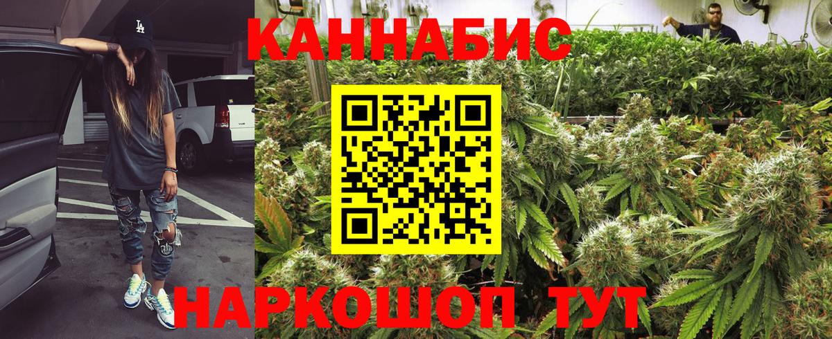 Марихуана гибрид Гусев